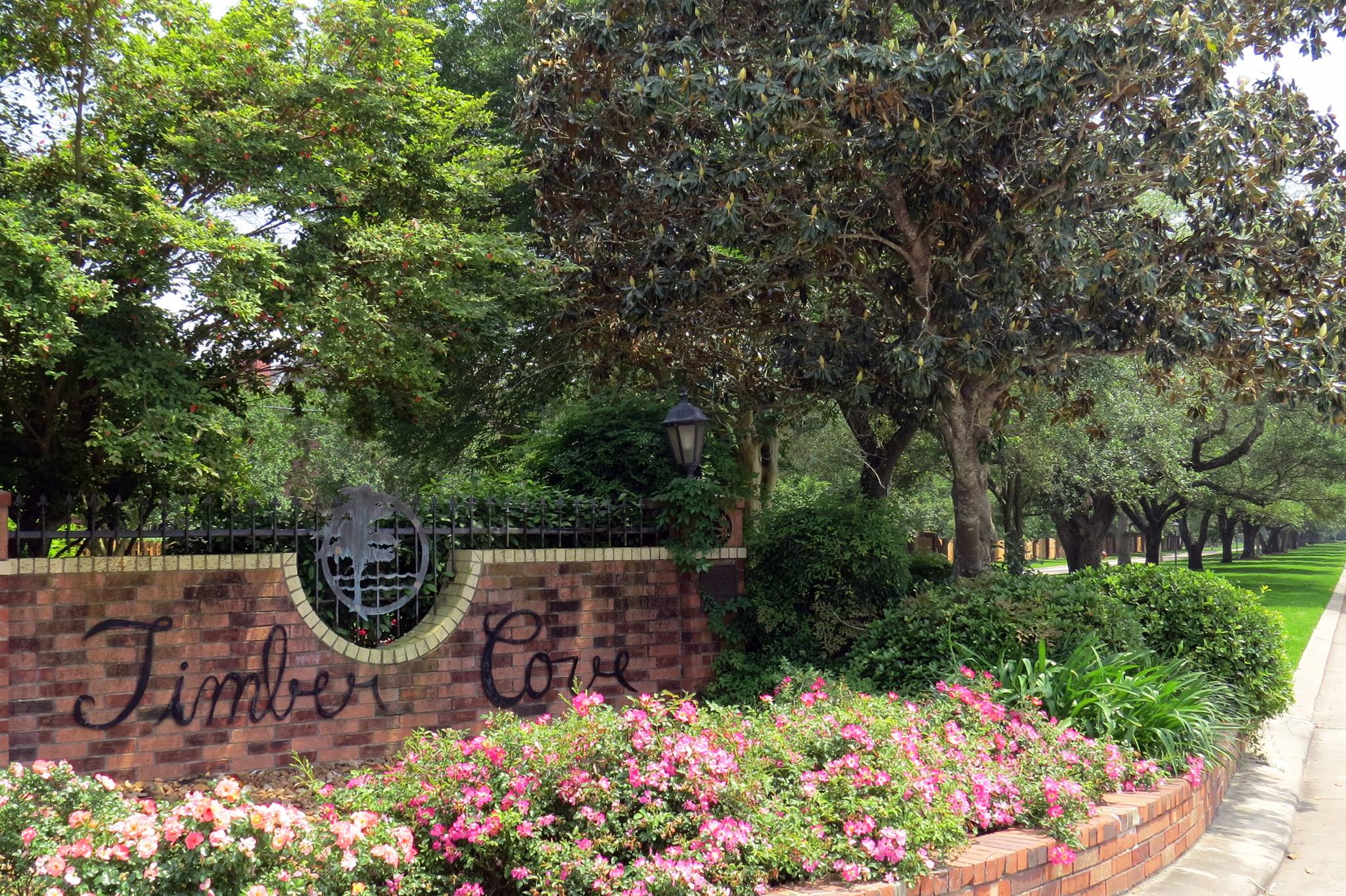 Timber Cove Garden Club